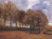 Vincent Van Gogh Autumn Landscape (nn04) painting